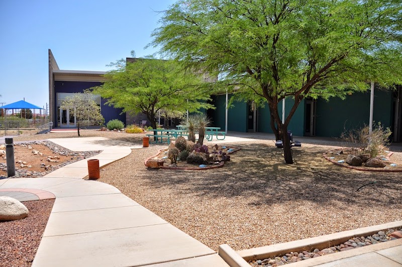 Photo of The University of Arizona