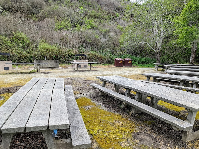 South Walnut Grove Picnic Area photo 2