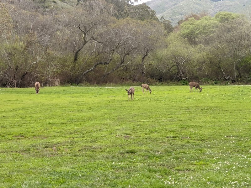 Photo of South Walnut Grove Picnic Area