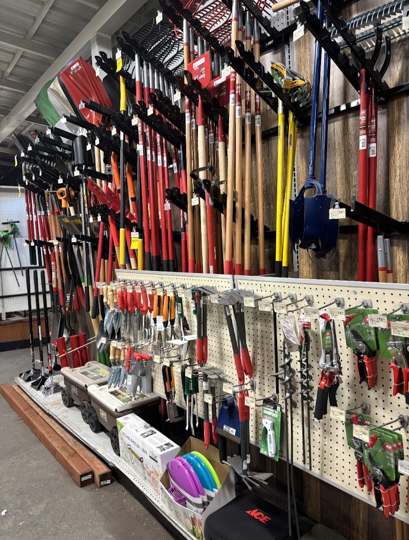 Stockton Ace Hardware photo 2