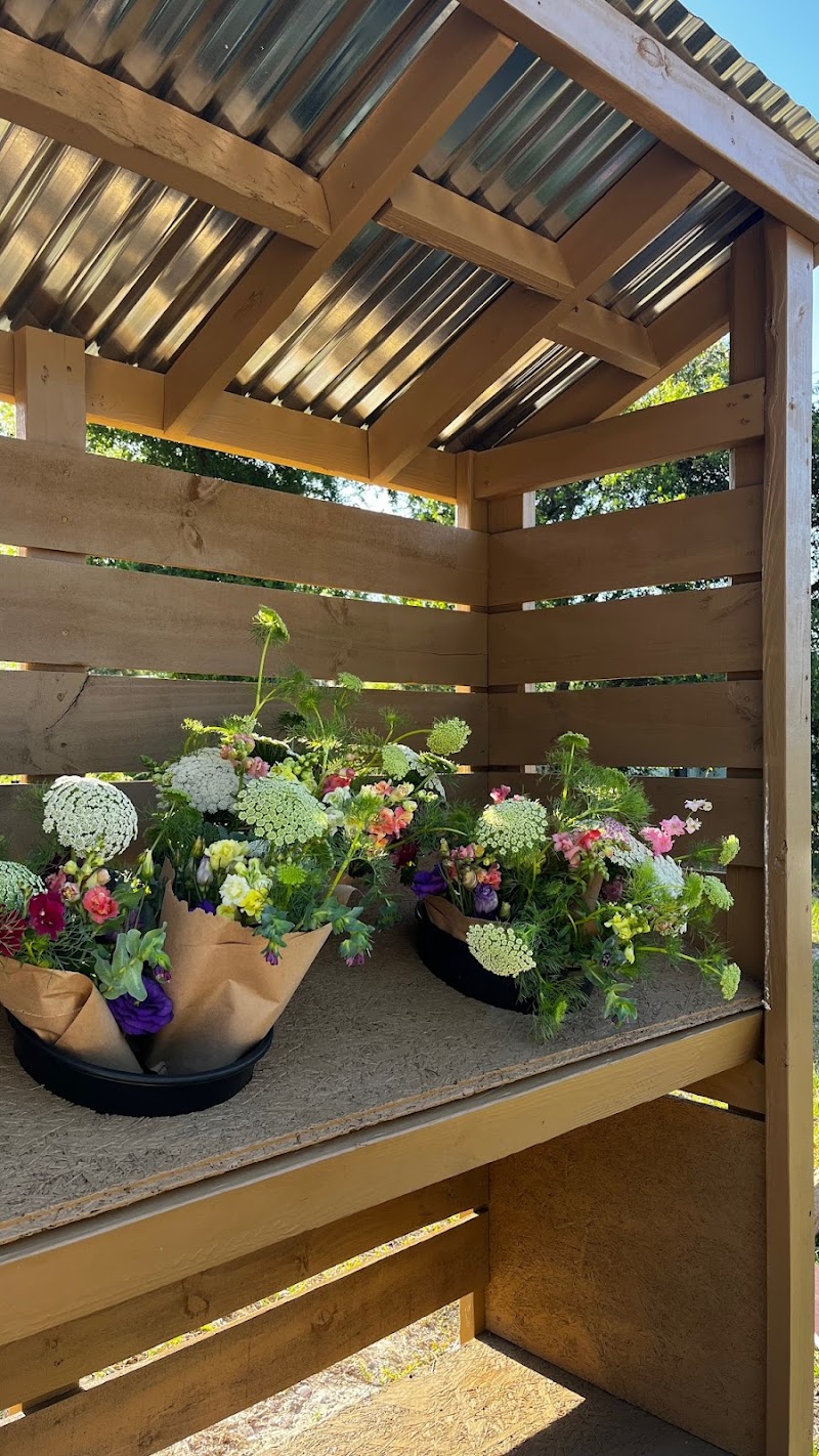 Flower Shower Farm photo 5
