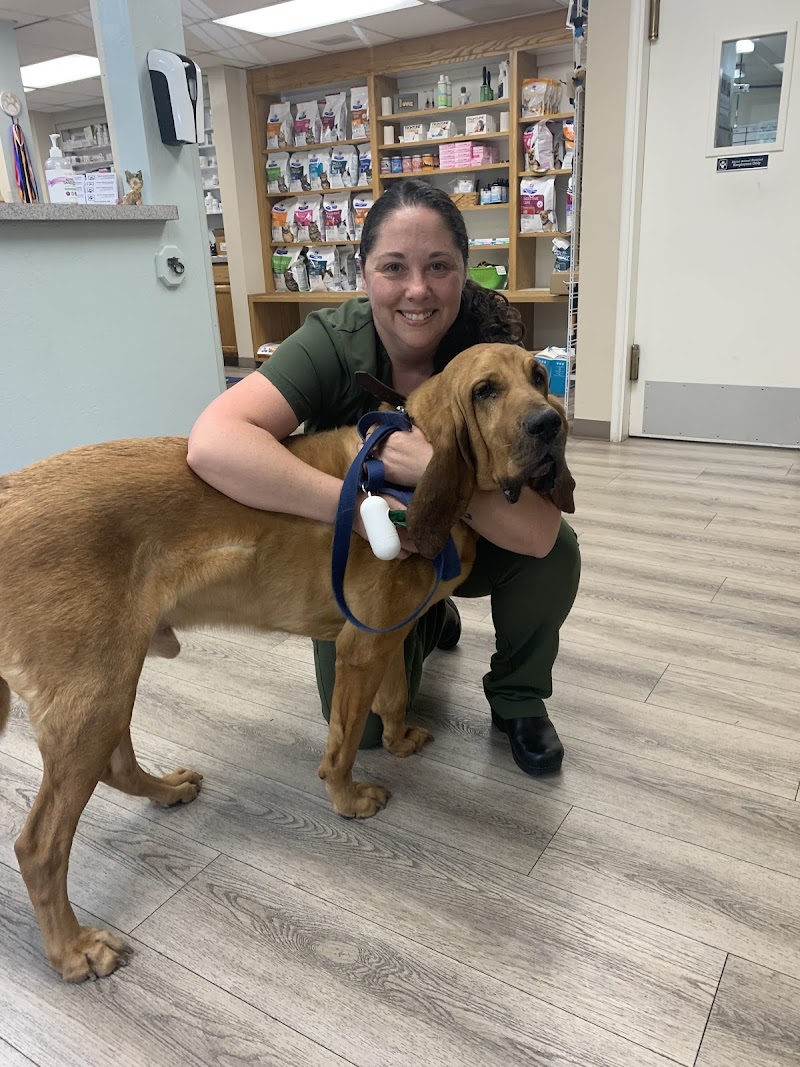 Alamo Animal Hospital photo 2