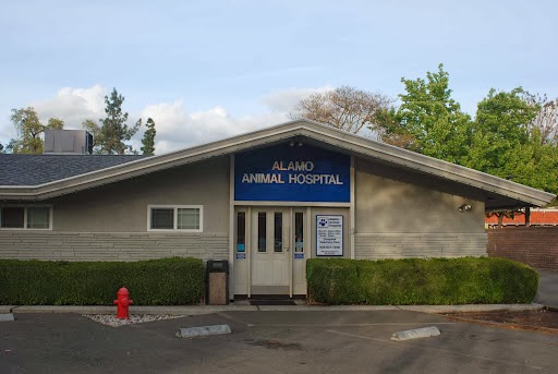 Photo of Alamo Animal Hospital
