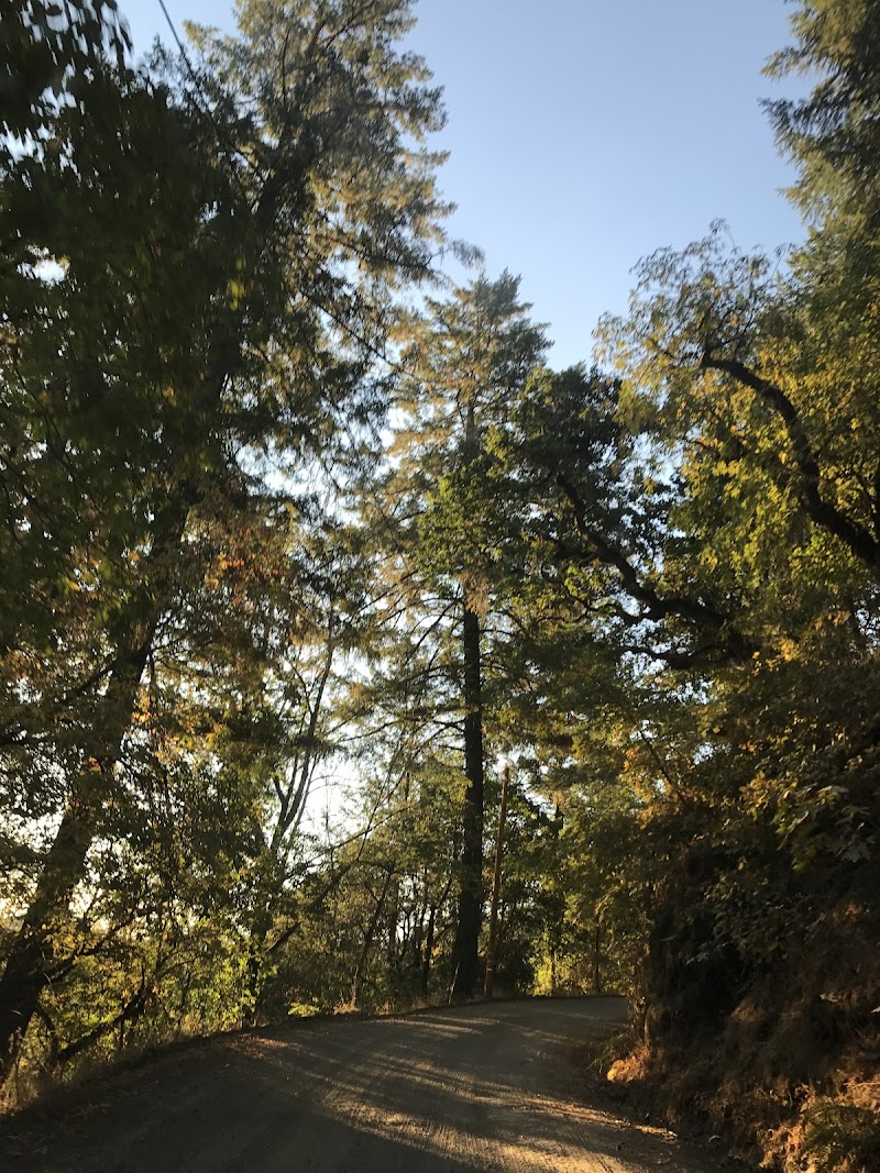 Wine Country Getaways photo 2