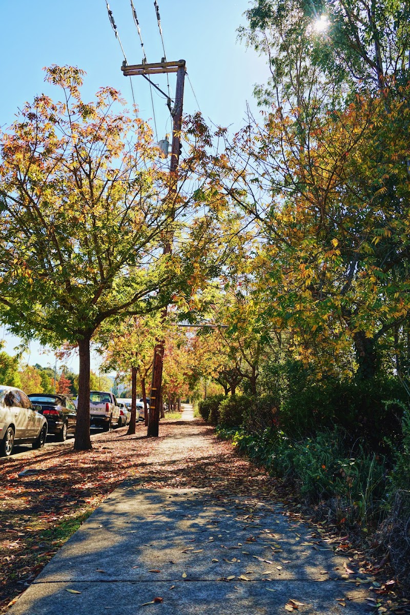 Wine Country Getaways photo 3