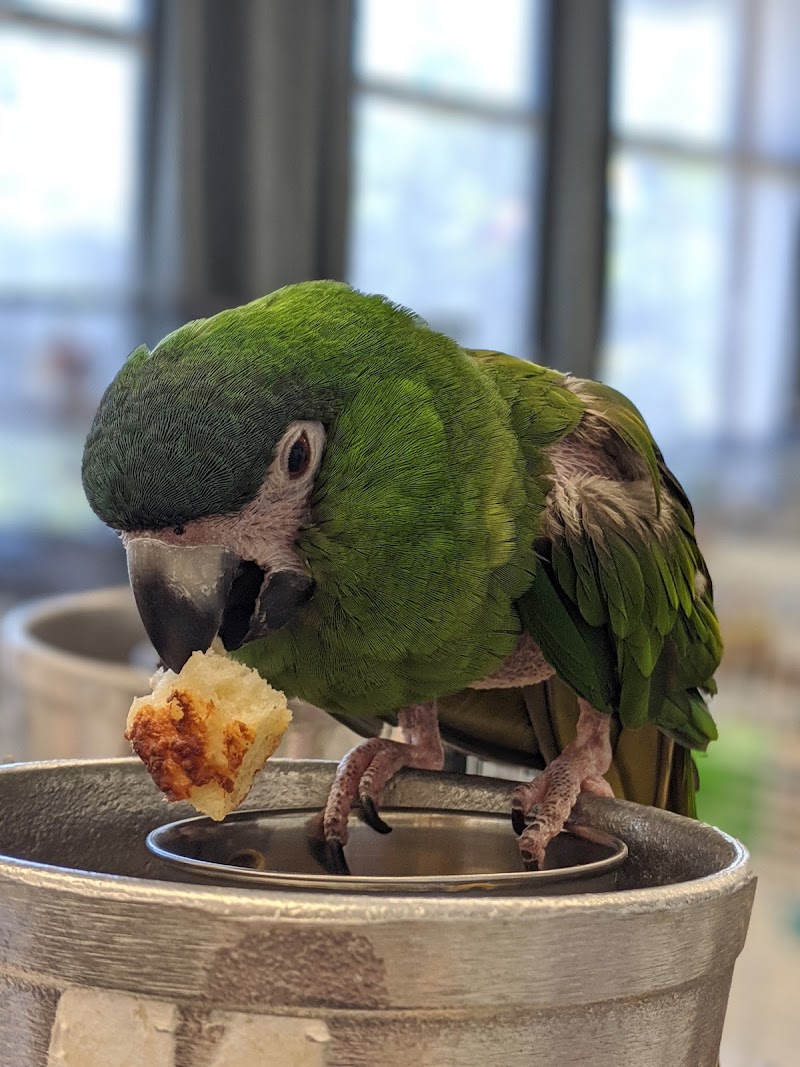 San Francisco Bird Hotel photo 4