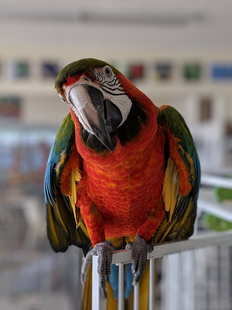 San Francisco Bird Hotel photo 5