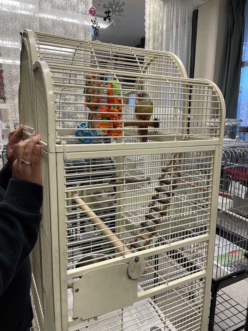San Francisco Bird Hotel photo 3