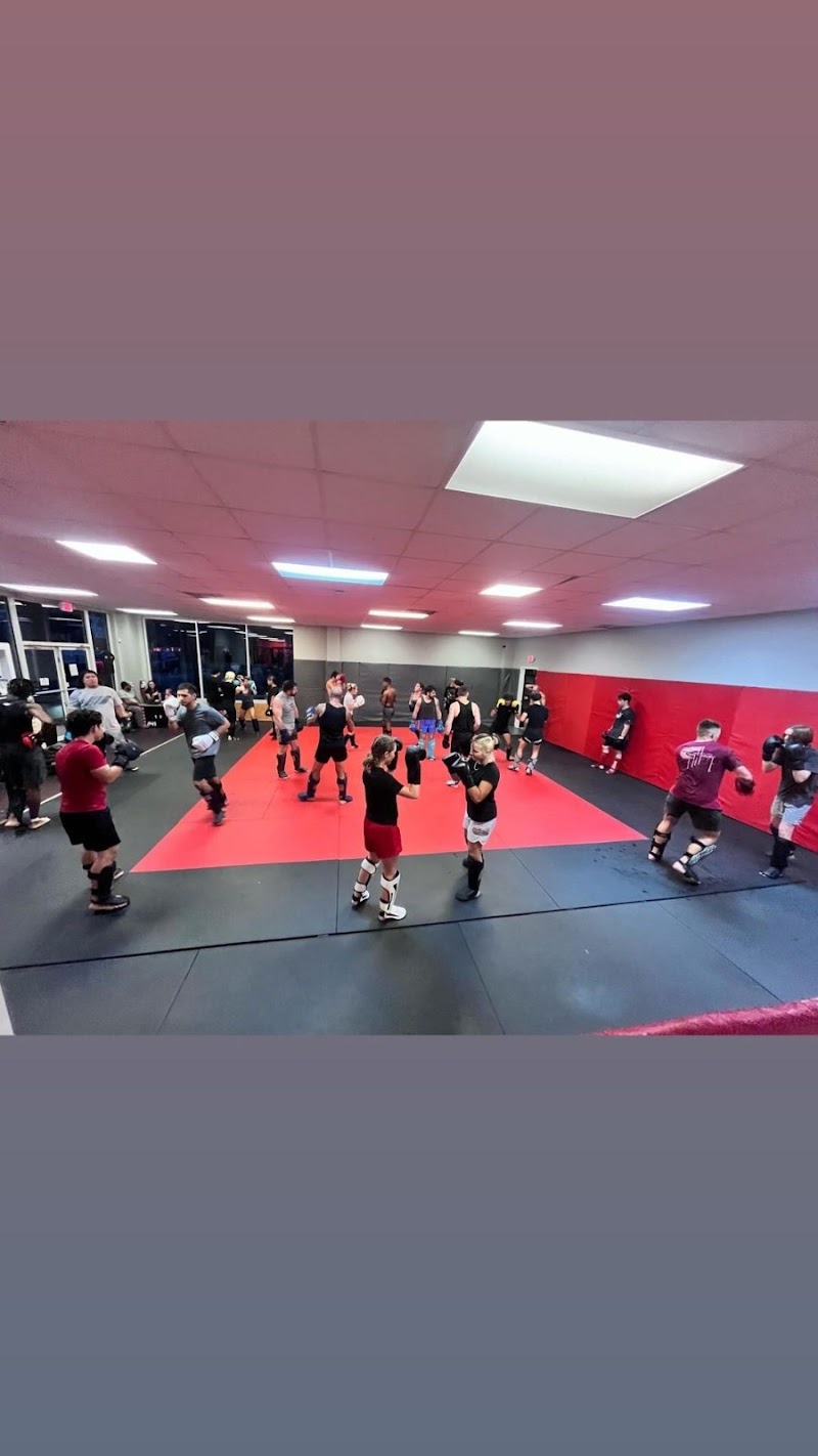 Primal Striking and BJJ photo 2