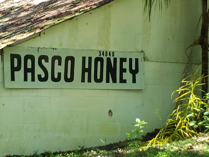 Pasco Honey photo 4