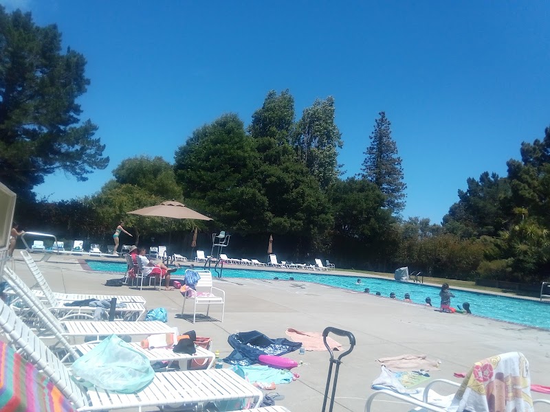 Millbrae Meadows Swimming Club photo 4