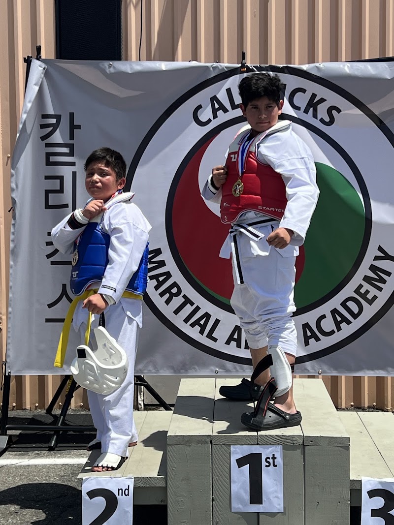 Cali kicks Martial Arts Academy photo 4