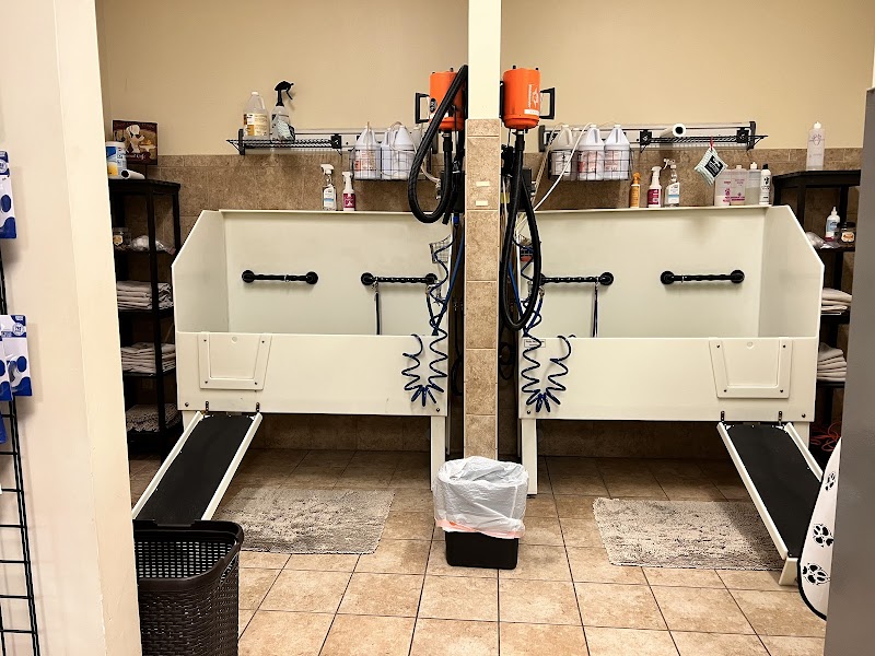 EarthWise Pet Supply & Grooming photo 4