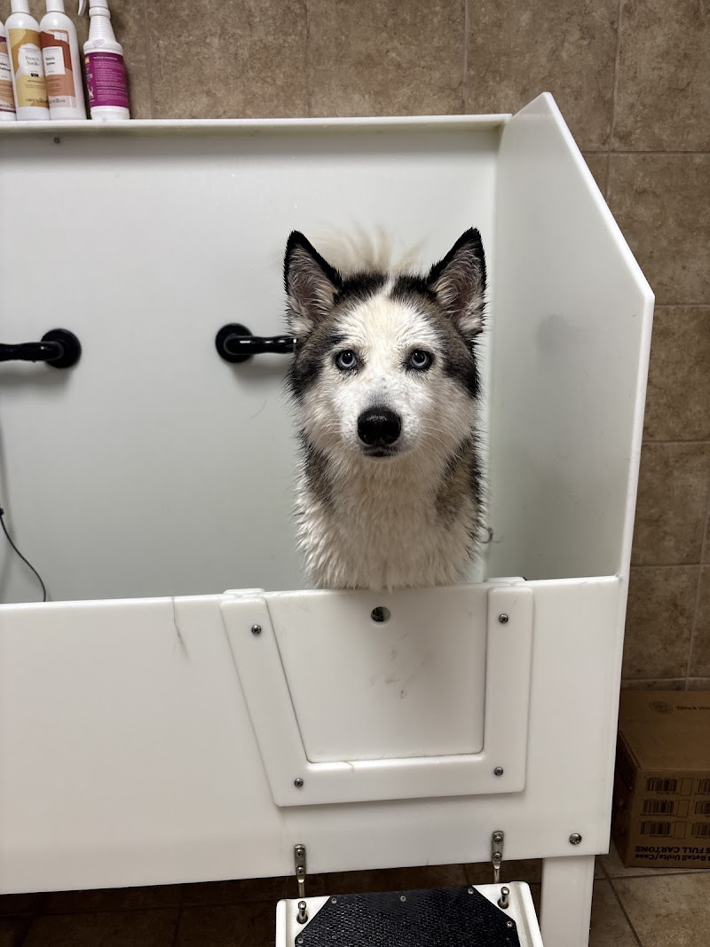 EarthWise Pet Supply & Grooming photo 3