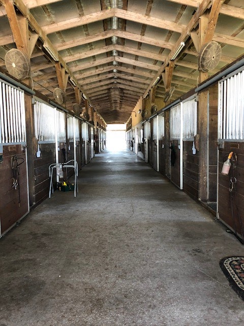 Winston Oaks Equestrian, Inc. photo 3