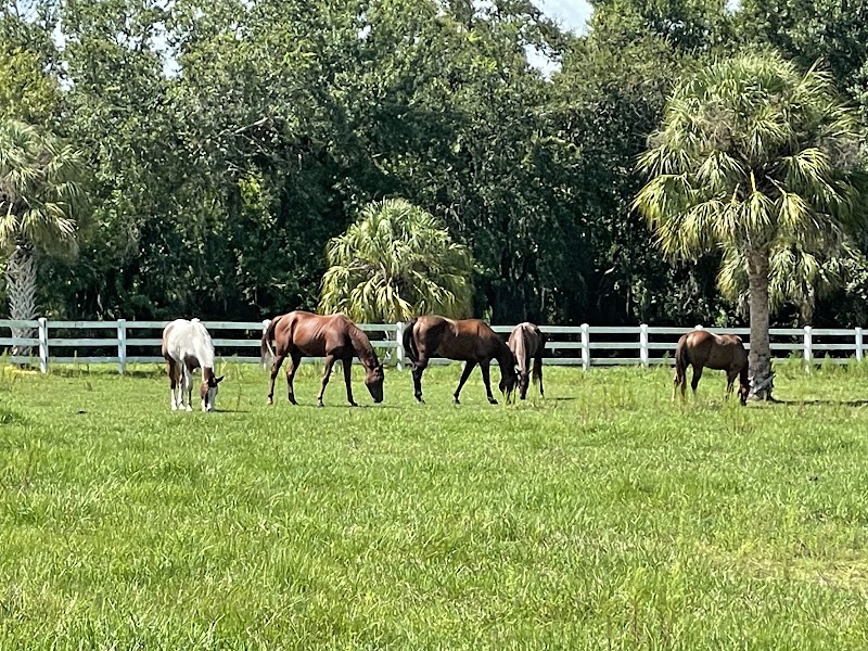 Winston Oaks Equestrian, Inc. photo 2