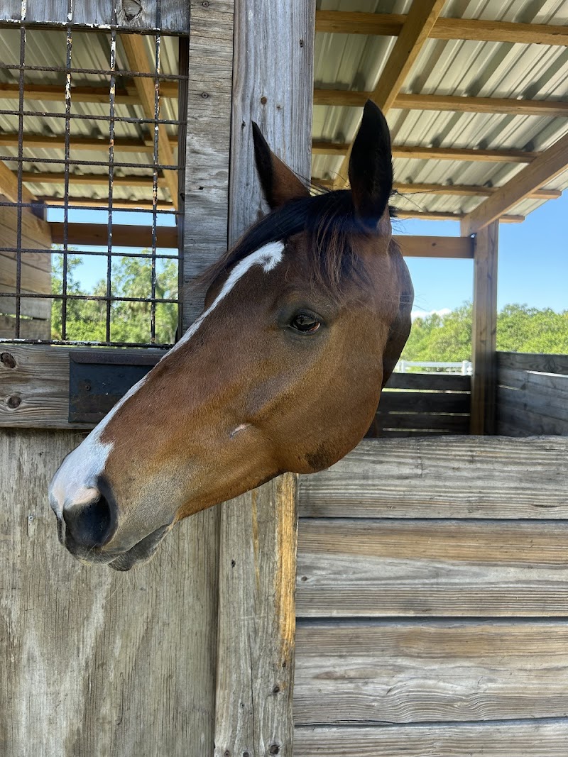 Winston Oaks Equestrian, Inc. photo 4