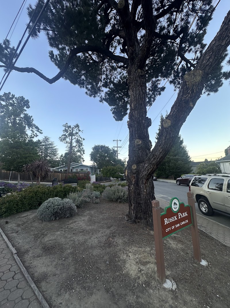 Rosek Park photo 4