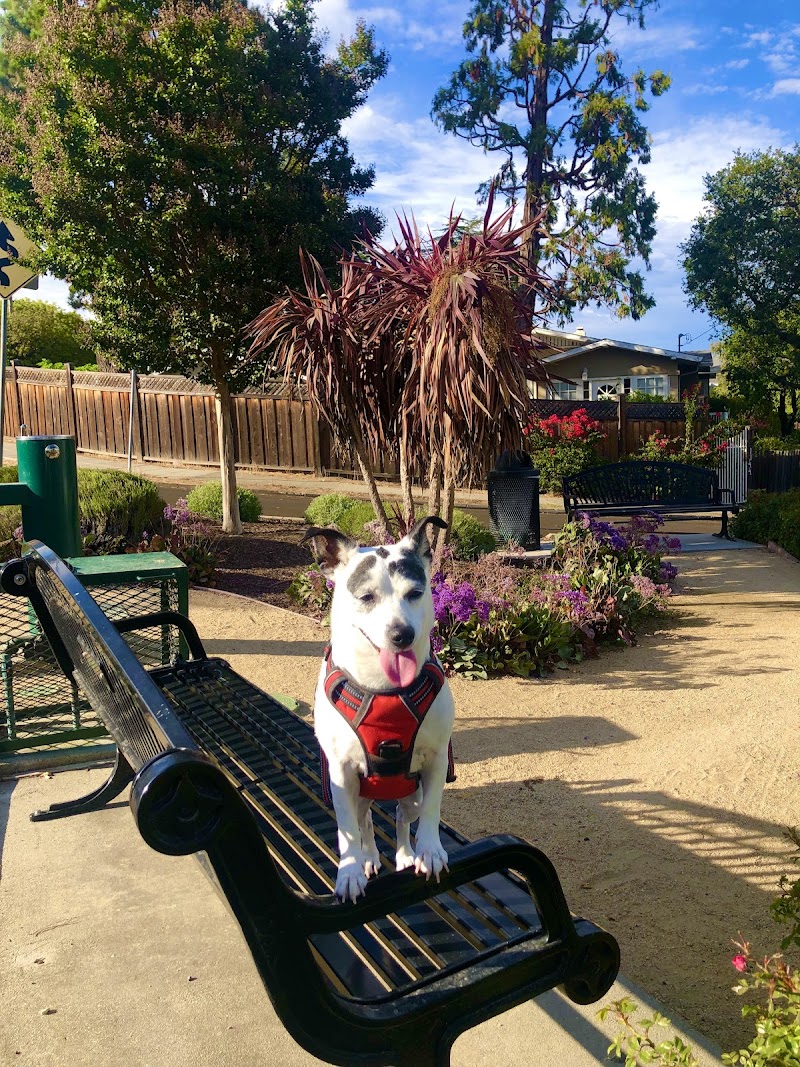 Rosek Park photo 2