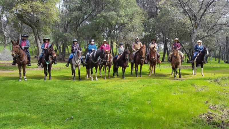 Concord Mt. Diablo Trail Ride Association photo 2
