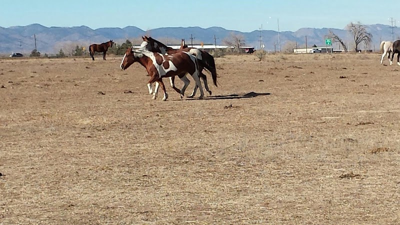 Mountain View Ranch and Stables photo 5