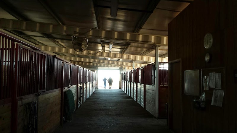 Photo of Mountain View Ranch and Stables