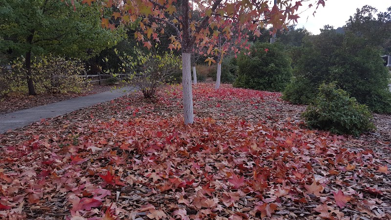Clover Springs Community Association photo 4