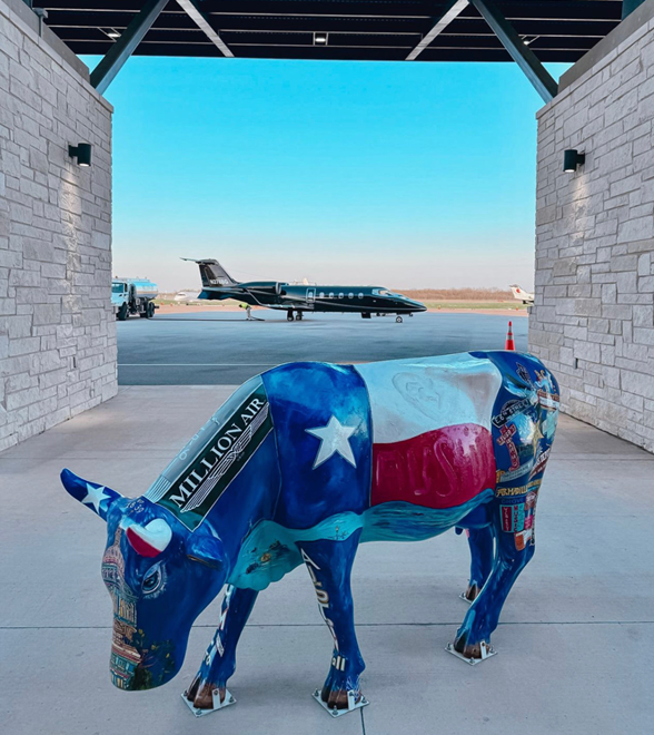 Elite Fleet Private Jet Charter photo 5