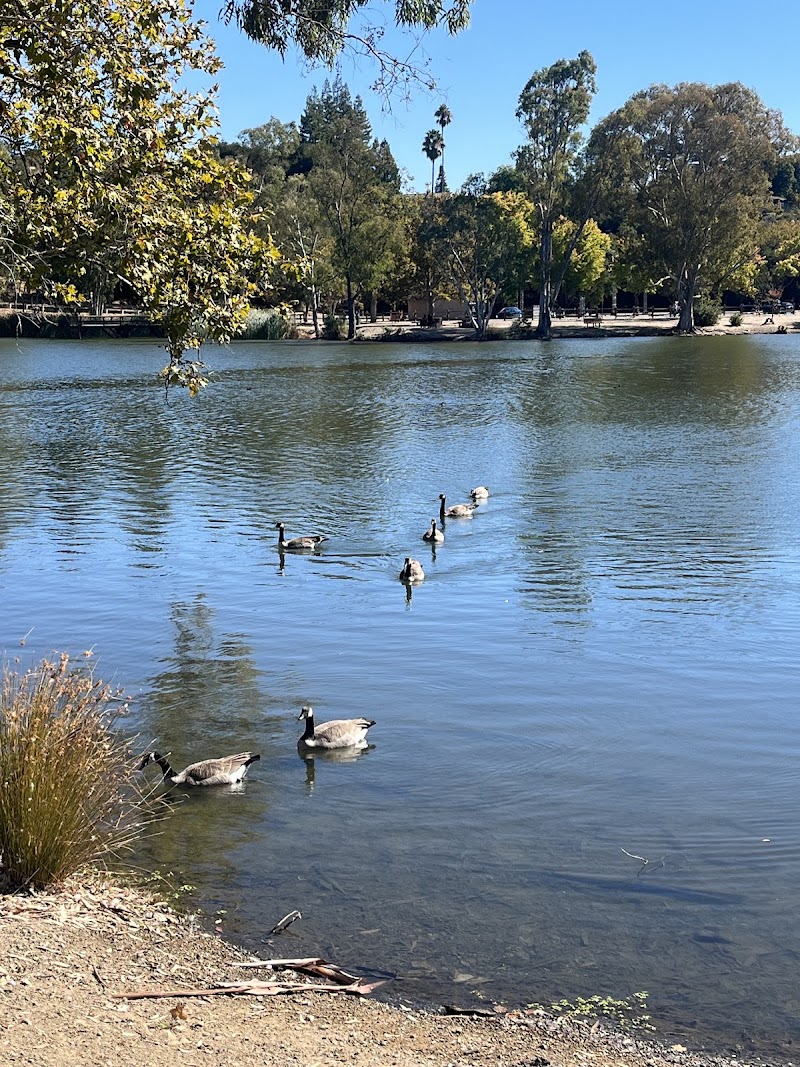 Goose Island photo 3
