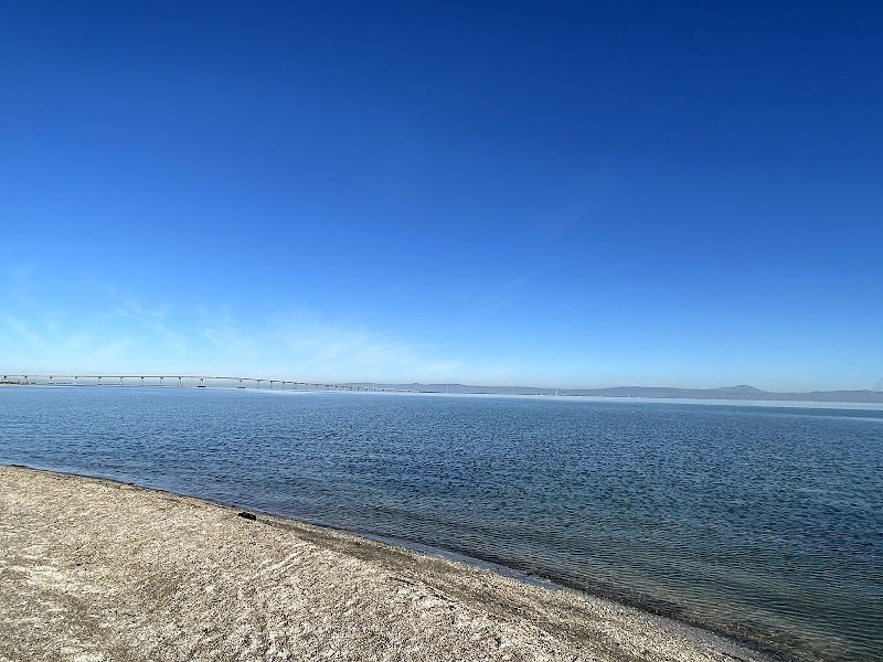 Photo of Belmont Slough Beach