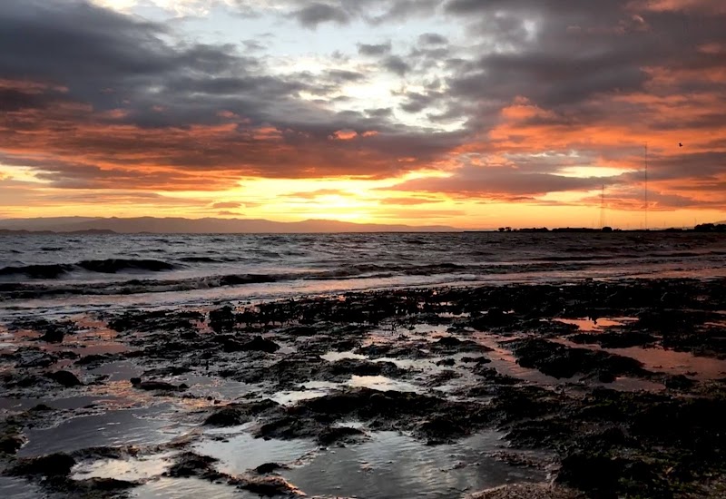 Belmont Slough Beach photo 5