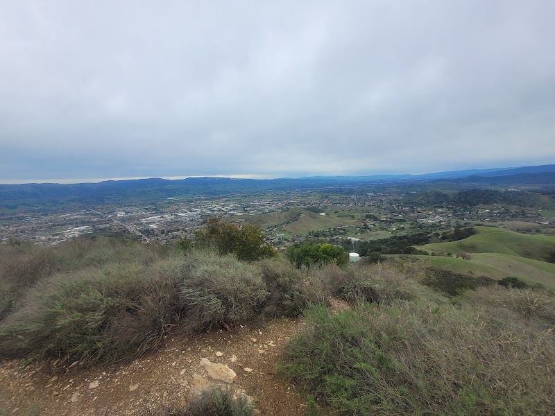 El Toro photo 4