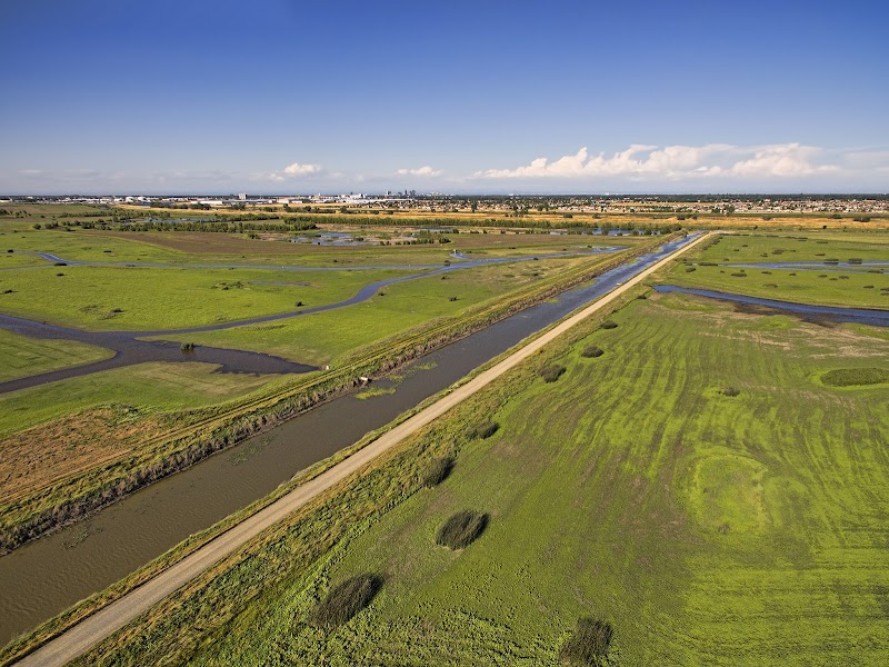 Yolo Bypass Wildlife Area photo 3
