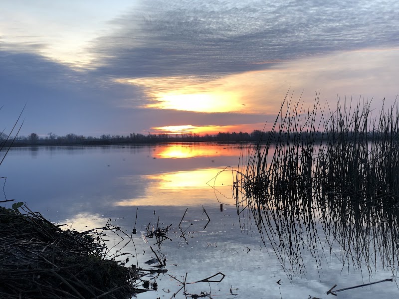 Yolo Bypass Wildlife Area photo 4