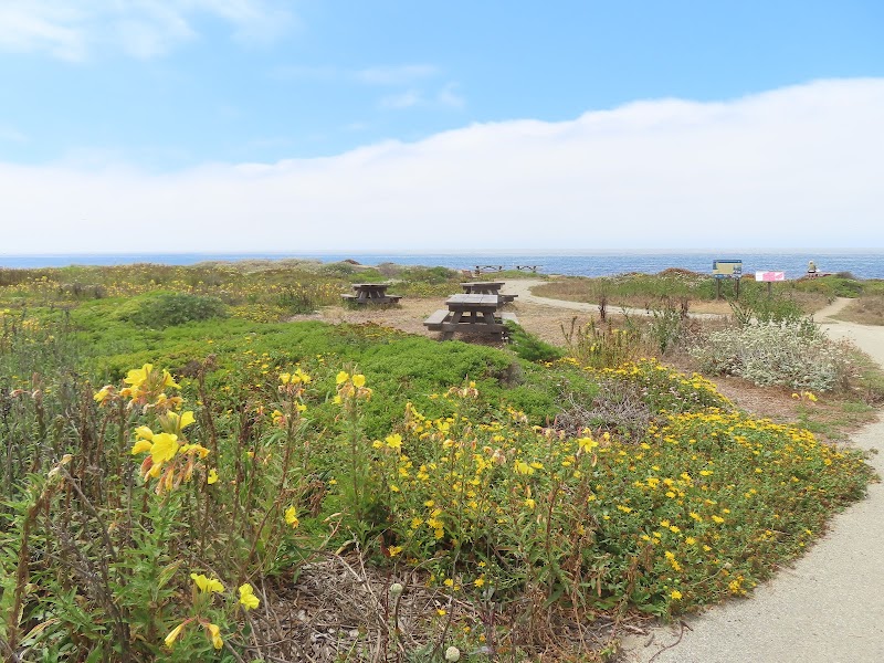 Venice Beach - Half Moon Bay State Beach photo 2