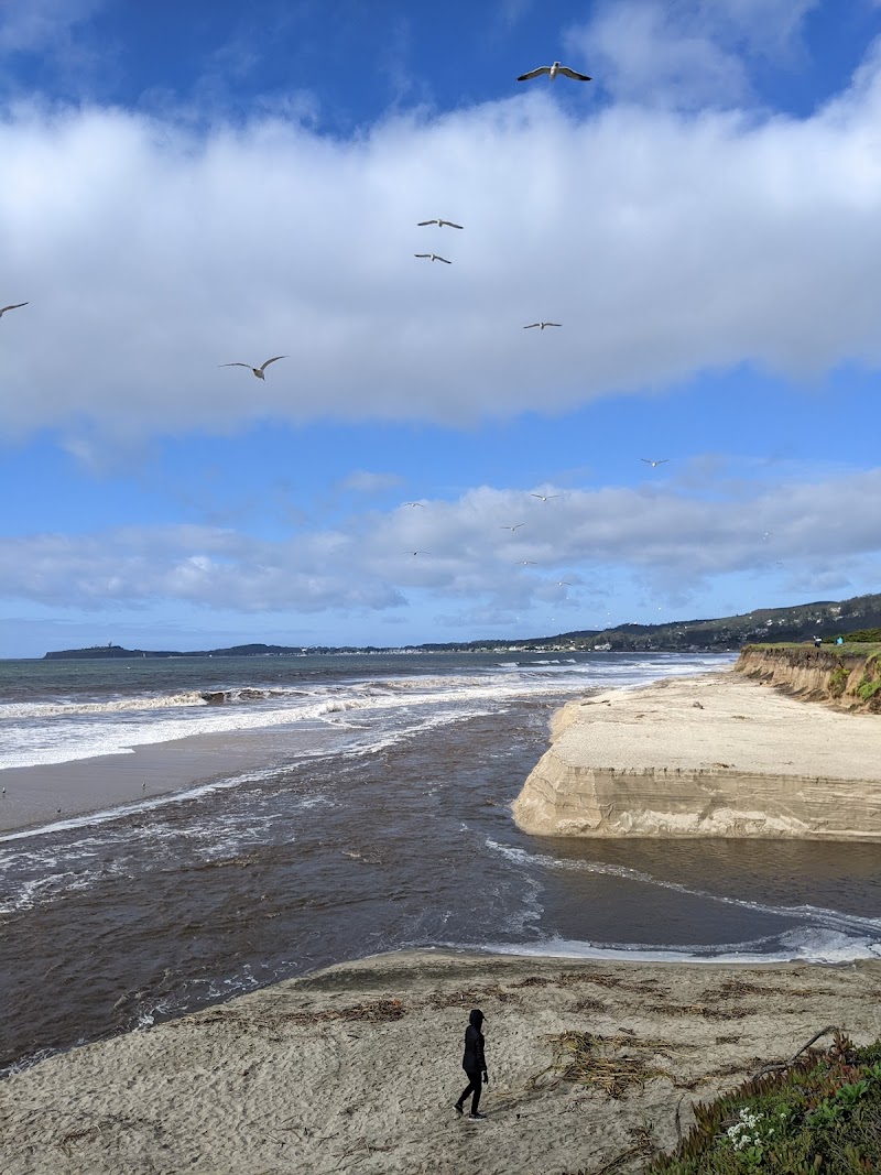 Venice Beach - Half Moon Bay State Beach photo 3