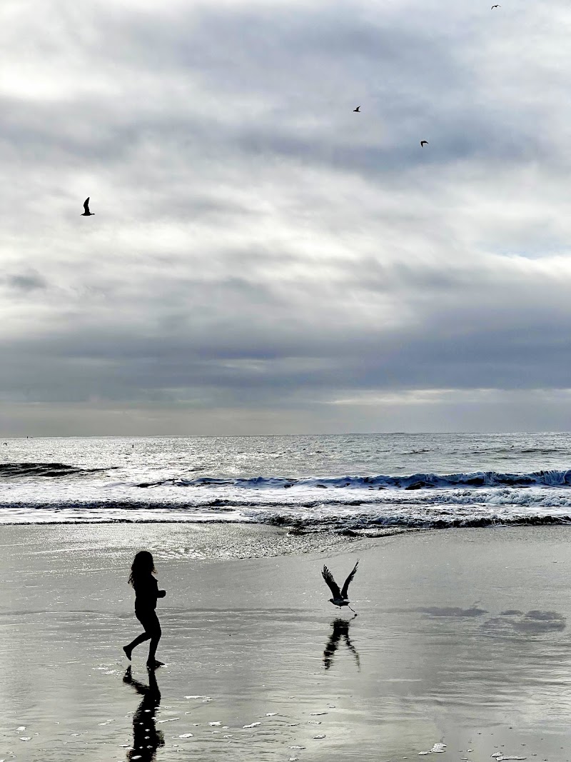 Venice Beach - Half Moon Bay State Beach photo 5