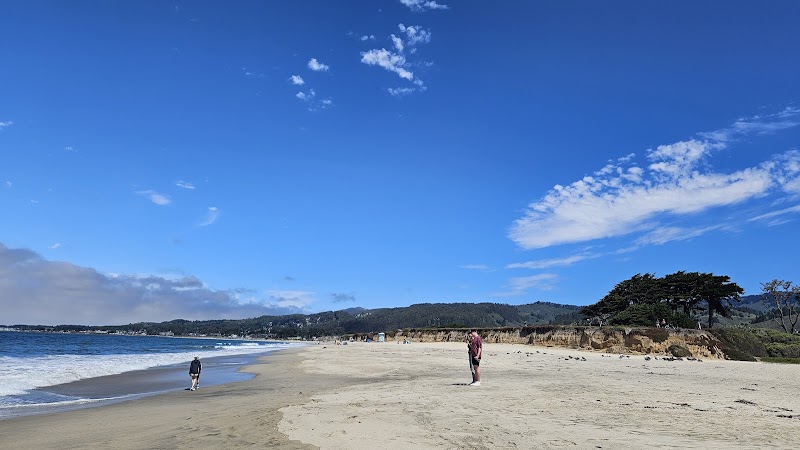Venice Beach - Half Moon Bay State Beach photo 4