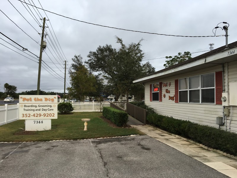 Photo of Pat the Dog Pet Resort