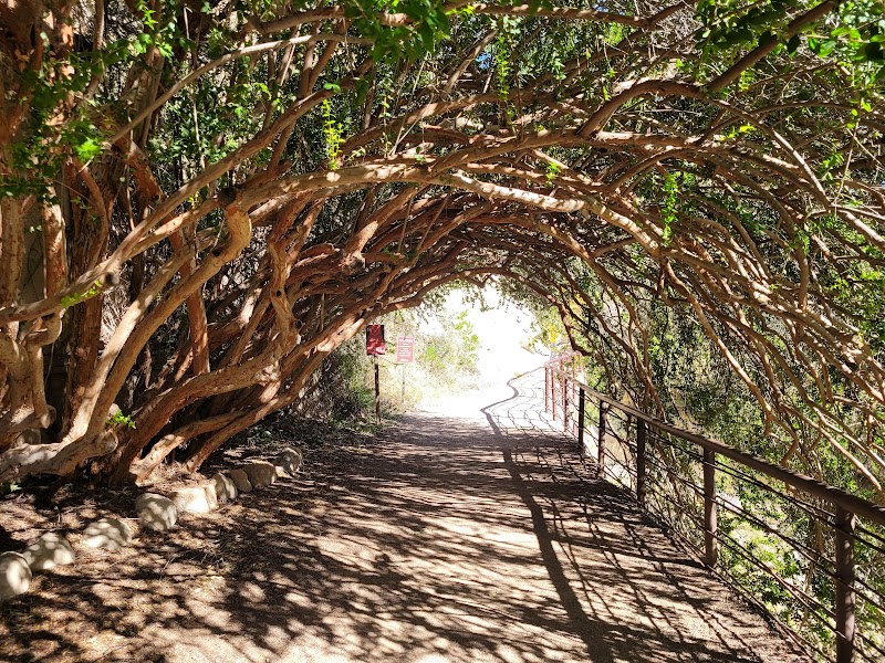 Photo of Tunnel