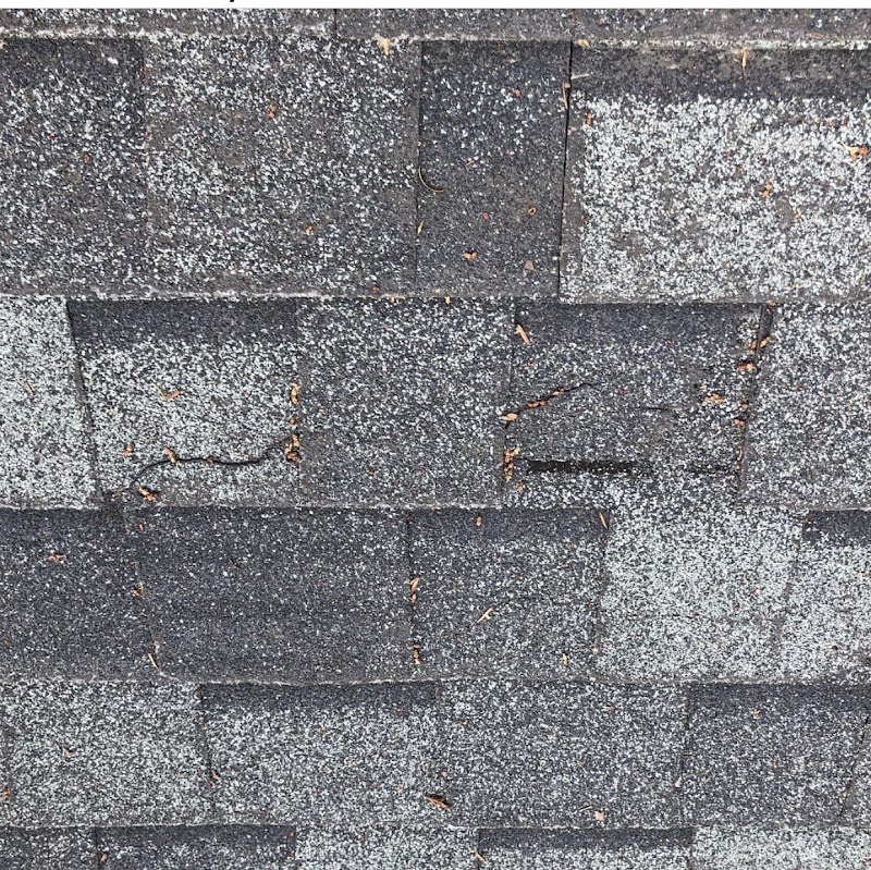 Roof Doctors Sonoma County photo 4