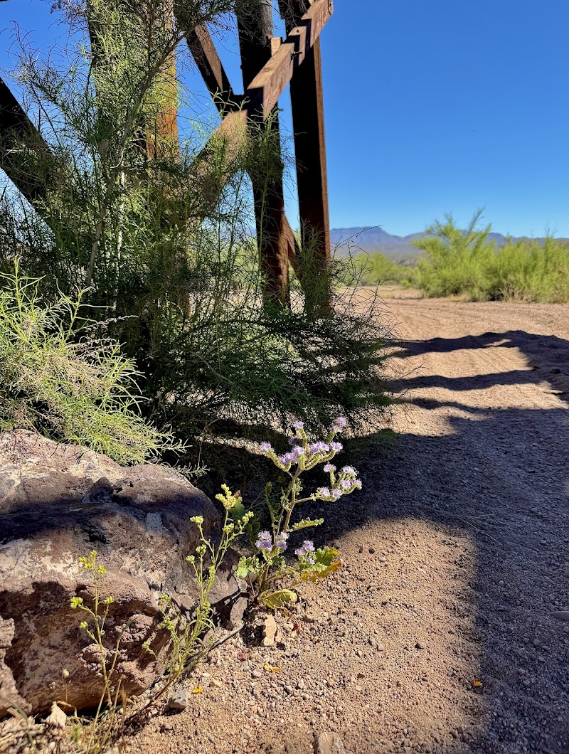 Tucson Wash Historical Railroad Bridge Trail Head photo 5