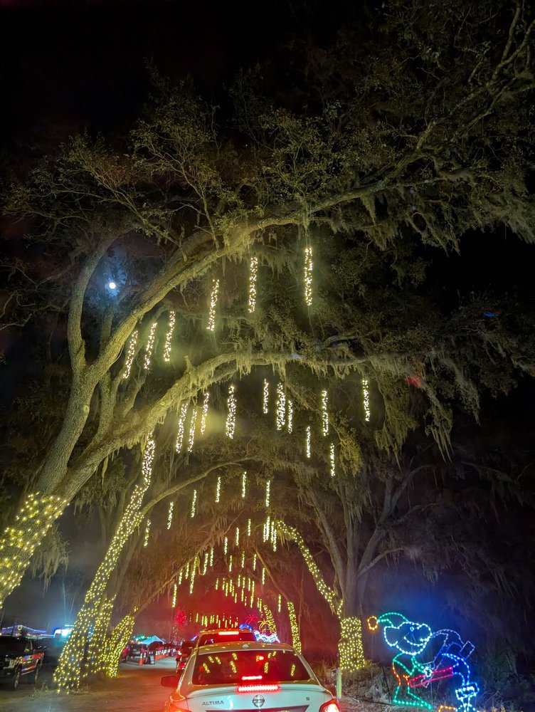 Greater Hillsborough County Fair photo 2