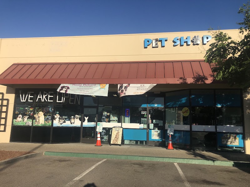The Pet Shop photo 4