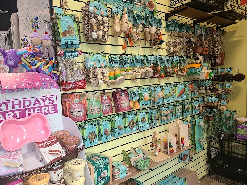 The Pet Shop photo 3