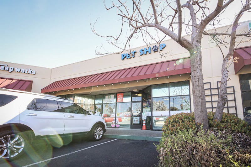 Photo of The Pet Shop