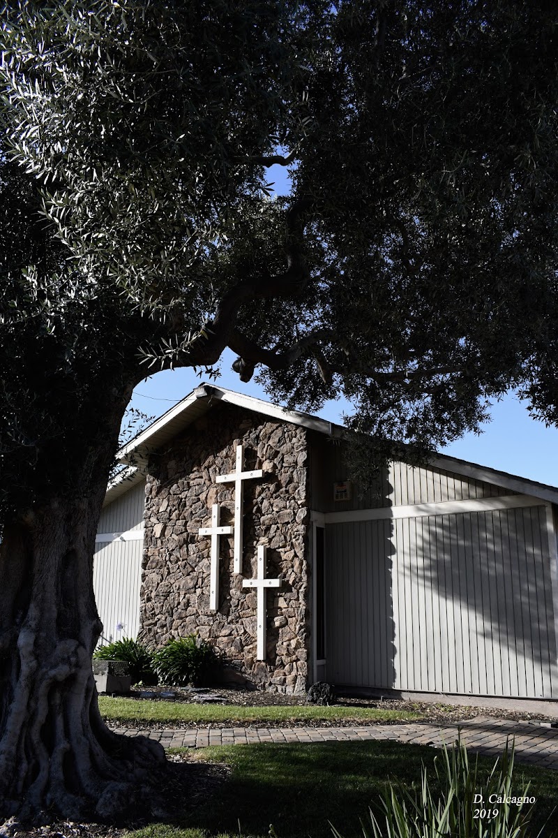 Christian Life Church photo 2