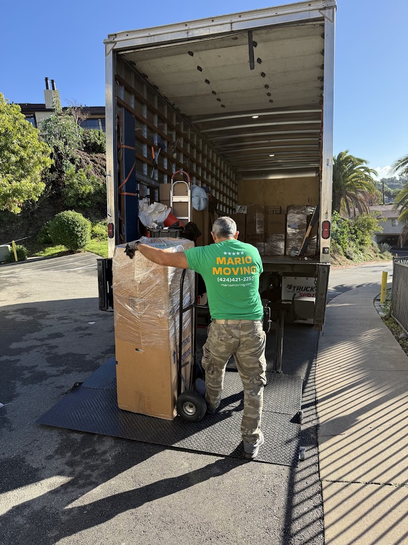 Mario Moving photo 2