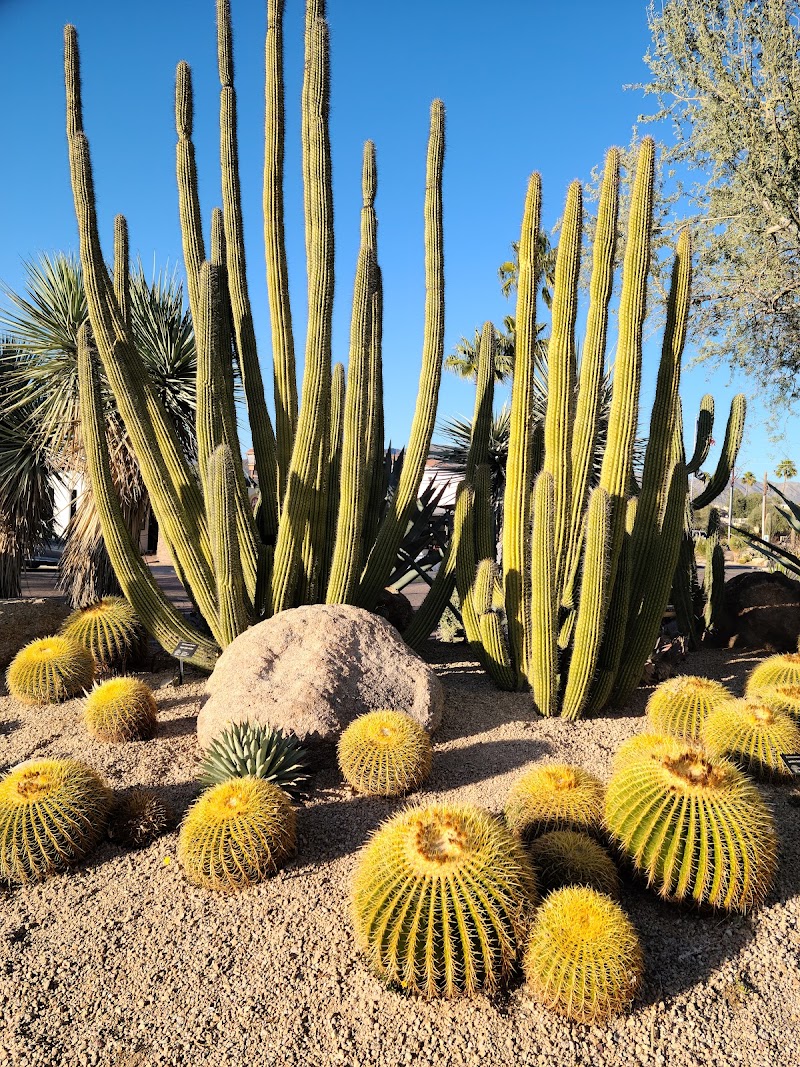 Photo of Carefree Desert Gardens
