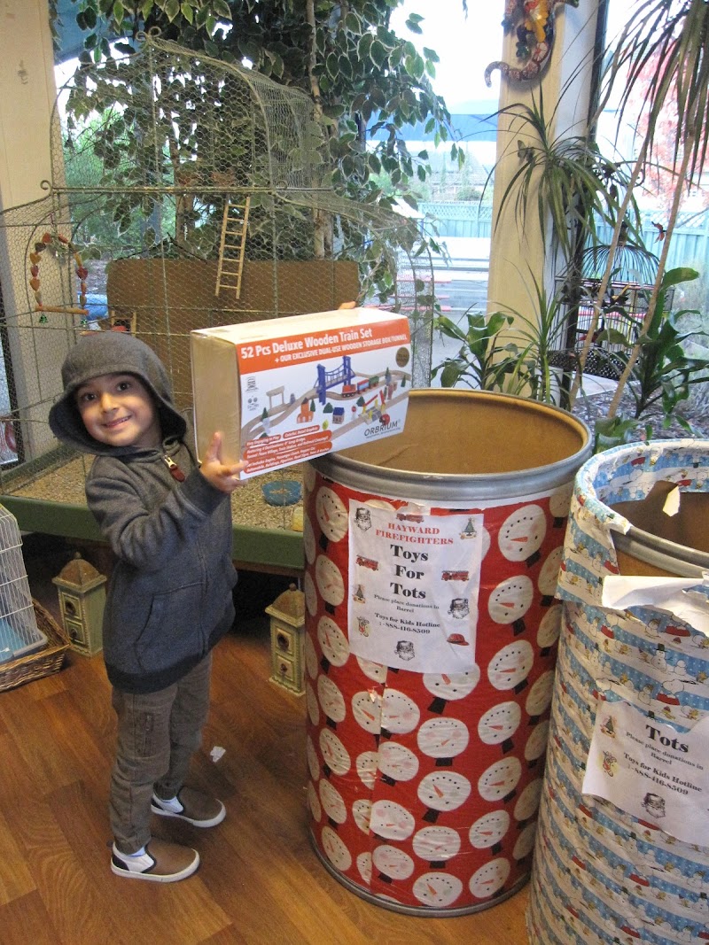 Montessori School at Five Canyons photo 4